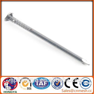 Hot-selling polished common nails/roofing nails/flat head nails
