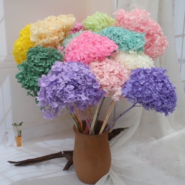 EVERY LOVE Hochzeit Deko: Immortal Flower Preserved Dried Anna Hydrangea for Wedding and Home Decoration