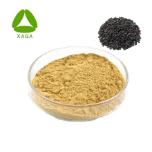 High Quality Psoralea Corylifolia Extract Powder Psoralen