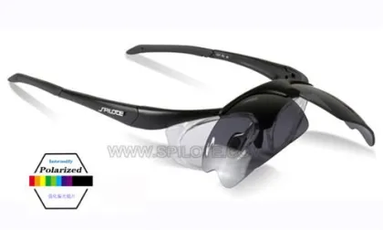 Optical sunglasses
