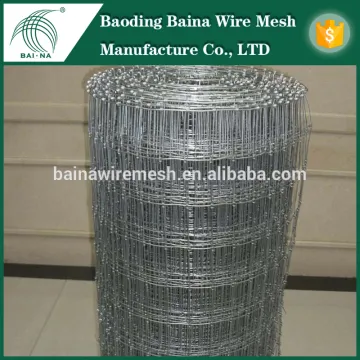 Hot-dip Galvanized wire mesh grassland fence for animals