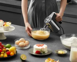 Gaabor Eggbeater