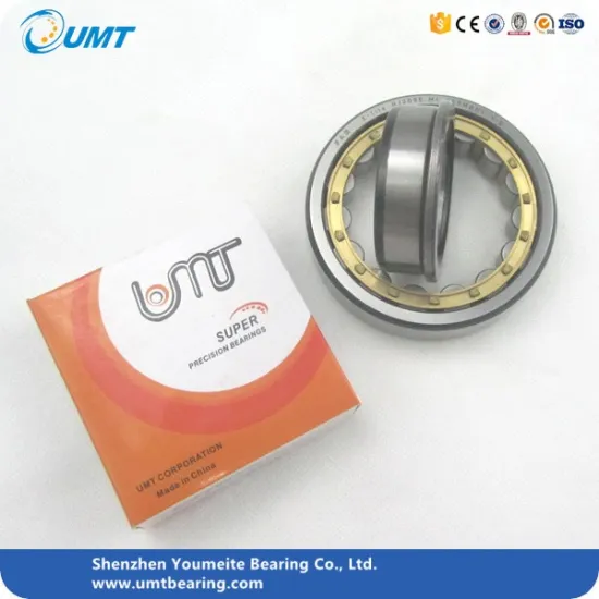 Cylindrical roller bearings, NUP 203 ECP, single row