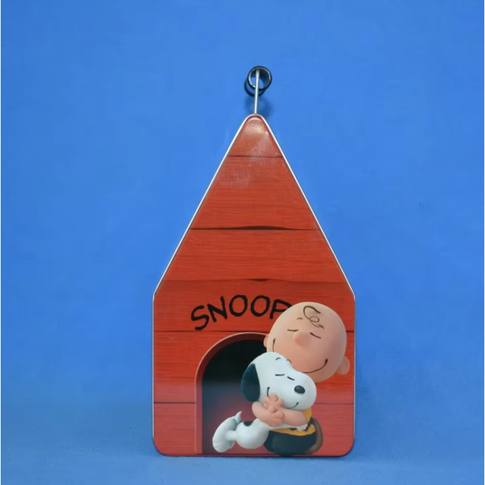 DADI House Type Tin Lunch Box with Handle