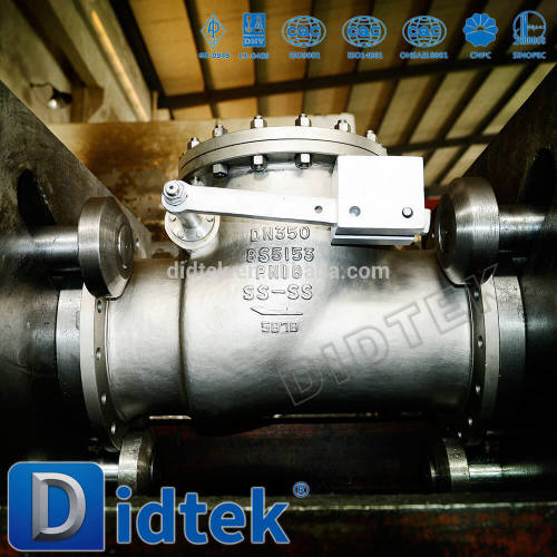 Didtek Underground pump check valve