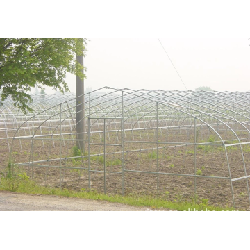 Tunnel Green House Vegetable Tunnel Greenhouse pour tomate