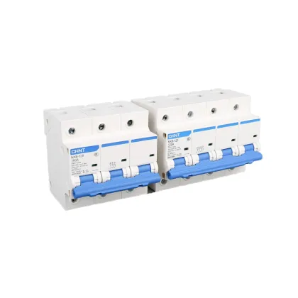Chint NXB-63 D Type Power Mini Circuit Breaker 10A-63A DZ47 Air Switch
