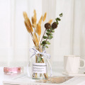 10/30PCS Natural Dried Flowers Small Pampas Grass Phragmites Natural Wheat Wedding Home Decoration Real Plant