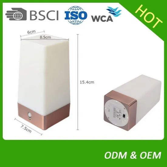 motion sensor battery light