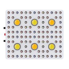 CXB3590 COB LED Grow Light Full Spectrum 3000K