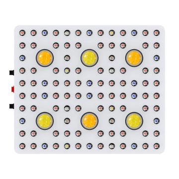 CXB3590 COB LED Grow Light Full Spectrum 3000K