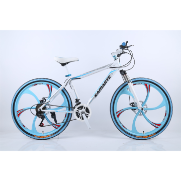 Hot 650 Carbon Disc Foxter Wheels Drop Bar Totem Frame di bici da ghiaia a 10 velocità con mozzi