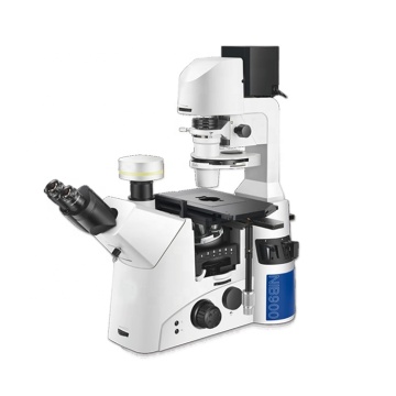 Inverted Fluorescence Microscope with Phase Contrast and DIC for Life Science Research and Disease Diagnosis
