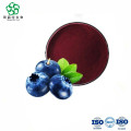 Extrait de plante 25% d&#39;extrait de bilberry anthocyanes