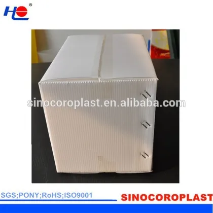 Logistics Packaging Corrugated Plastic Carton Box
