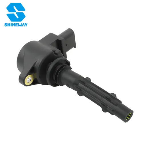Shine Way 2729060060 Auto Car Ignition Coil for Mercedes-Benz C/E/S Class