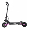 Sport Sport Fashion Fat Big 2 Wheels Electric Scooter