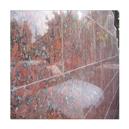 Ukrain Santiago Eagle Red Granite Polished Slabs for Wall and Floor Tiles