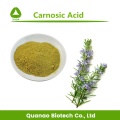 Ekstrak daun rosemary asid carnosic 5% -95% serbuk