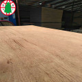 Keruing plywood for furniture grade