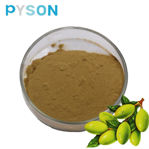 Olive Leaf Extract Oleuropein powder 20% HPLC