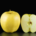 Fruits de pommes délicieuses dorées jaunes