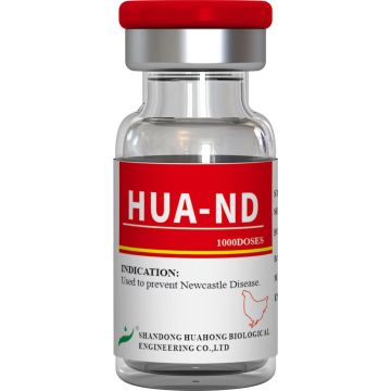 Tulpina ND Live Vaccine HB1, pulbere solubilă în apă
