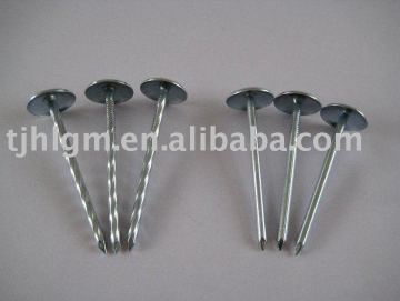 Galvanized Umbrella roofing nails