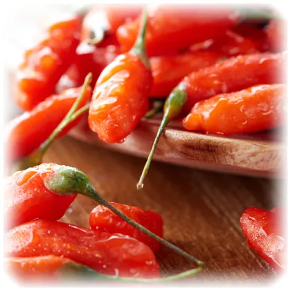 Red Power QIZITO semilla de goji sweet goji berry fresh goji berries