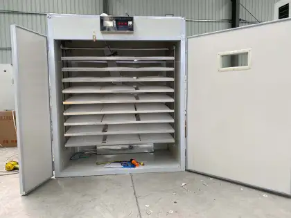 Egg Incubators Direct: Your Source for Hatching Equipment
