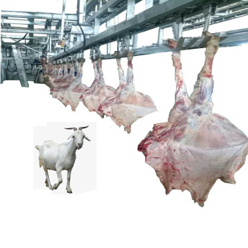 Turnkey Slaughtering Equipment for Cow, Goat, Cattle, and Sheep in Abattoirs and Slaughterhouses
