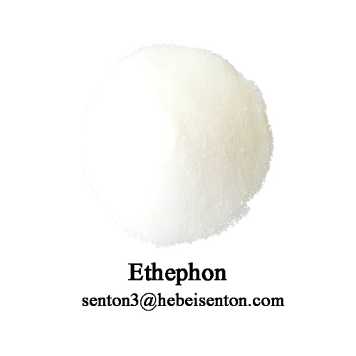 Low Toxicity Plant Growth Regulator Ethephon