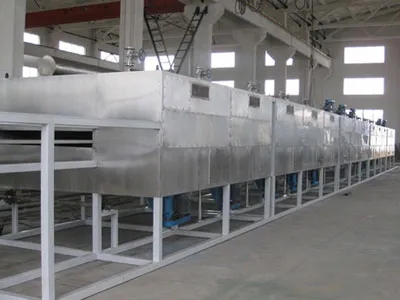 Dw Series Mesh Belt Dryer for Dehydrated Vegetable