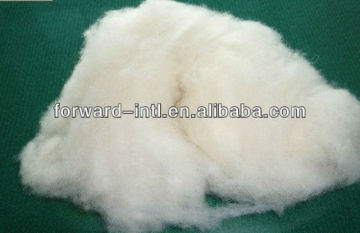 white dehaired and washed/scoured cashmere fiber