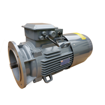 টাওয়ার ক্রেন উত্তোলন ব্রেক মোটর