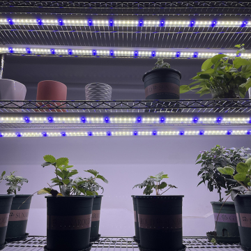 Kingbrite LED T8 30W Spectrum Full Spectrum Hydroponic Grow Light