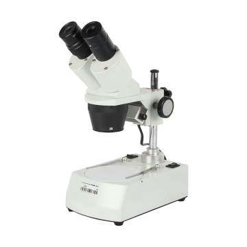 Professional 20x-40x WF10x Test gemma gemma Test stereo zoom microscopio binoculare per laboratorio medico