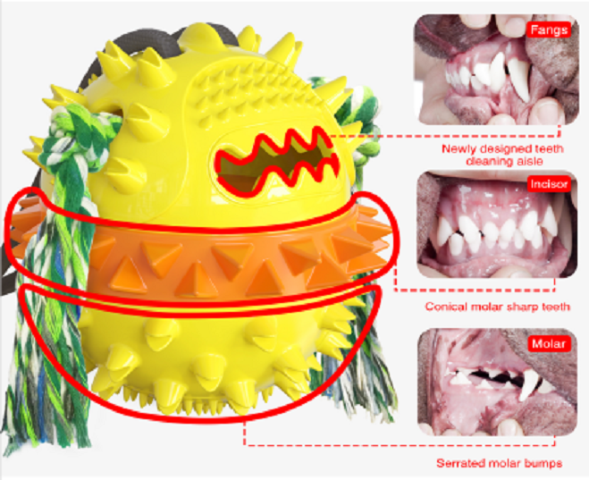 Cleaning Pet Toy For Dog Details 5