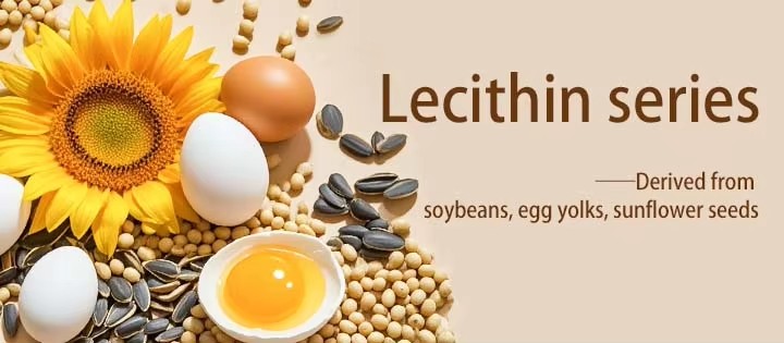 lecithin lecithin