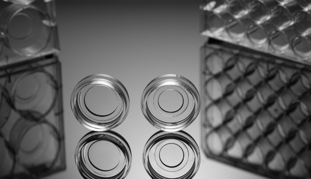 15mm skleněná spodní buněčná kultura miska