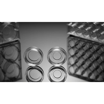 Glass Bottom Cell Culture Dish China Manufacturers & Suppliers & Factory