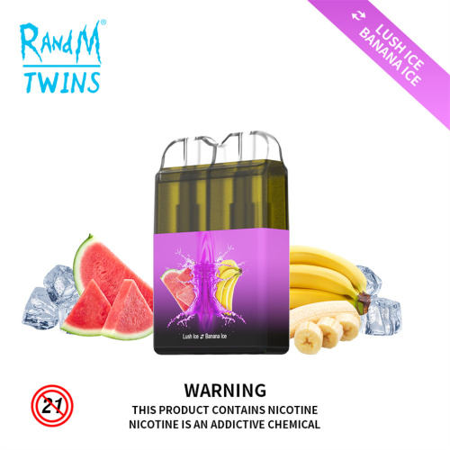 RandM Twins 6000 Puffs Rechargeable 2In1 Vape Device