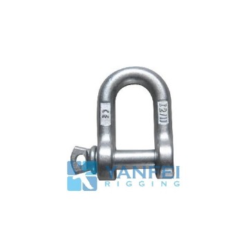 Drop Forged Dee Shackle Italy Type