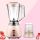 Temperature control 350W household Electric Juicer Blender
