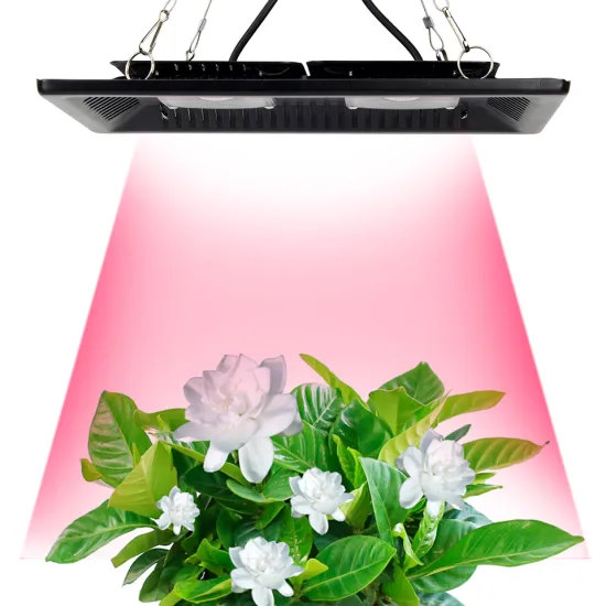 Competitive factory price waterproof led grow light cob full spectrum 200w