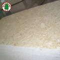 1220x2440mm Première classe OSB simple plaine