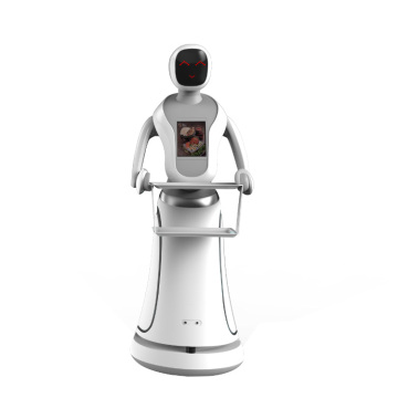 Waiter Robot: Hospital's Solution for Food and Medicine Delivery