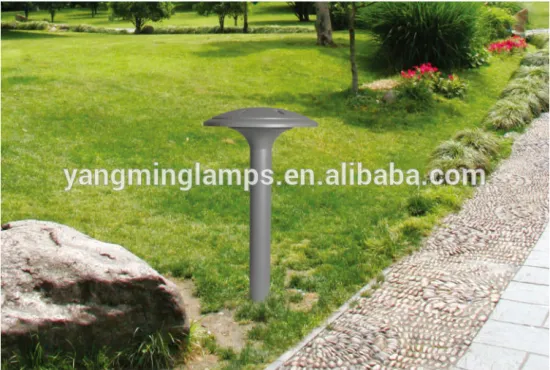 new design outdoor LED lawn light