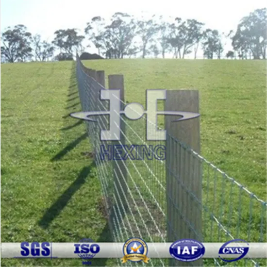 Galvanized Sheep/Horse/Cattle Enclosure Ranch Fence
