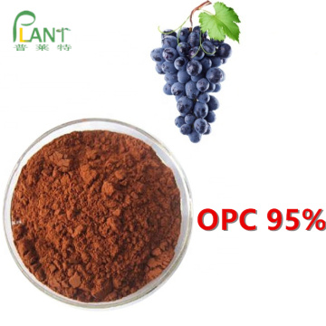 100% Natural Grape seed extract OPC powder 95%